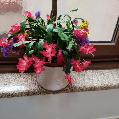 A Casa De Carmen Дом отдыха