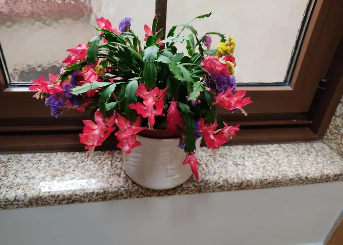 A Casa De Carmen Σπίτι διακοπών